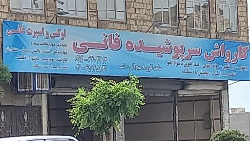 عکس کارواش نانو بخار فانی