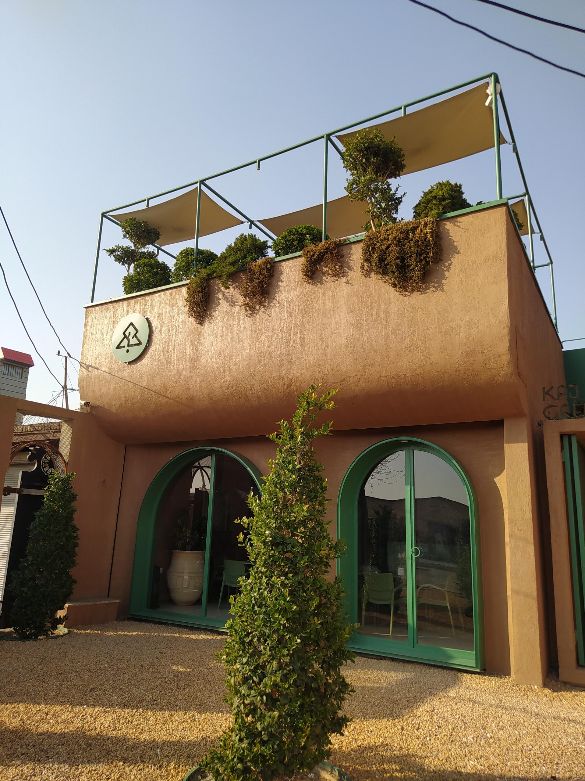 عکس گلخانه کاج