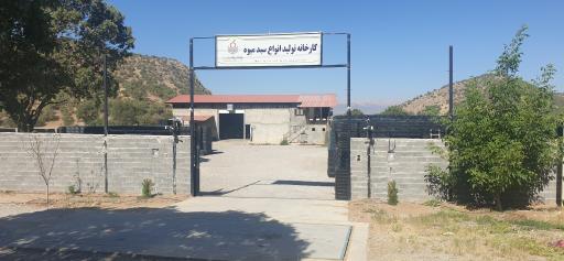 عکس کارخانه تولید انواع سبد میوه حسین دوستانی