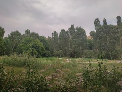 عکس دشت لیقوان