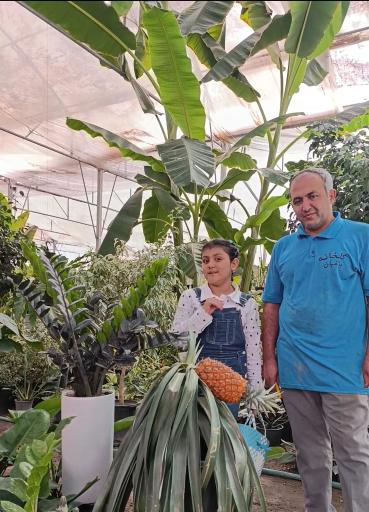 عکس گلخانه باغبان 