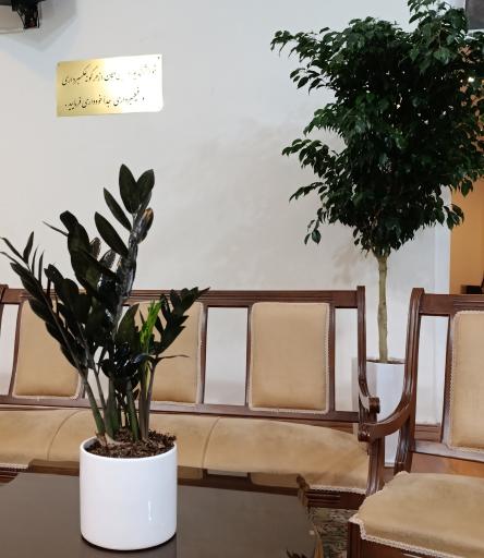 عکس گلخانه باغبان 