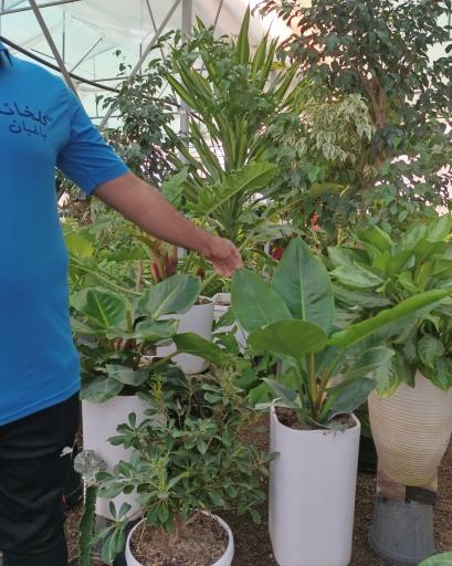 عکس گلخانه باغبان 