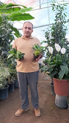 عکس گلخانه باغبان 