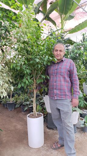 عکس گلخانه باغبان 