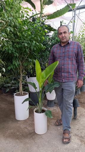 عکس گلخانه باغبان 