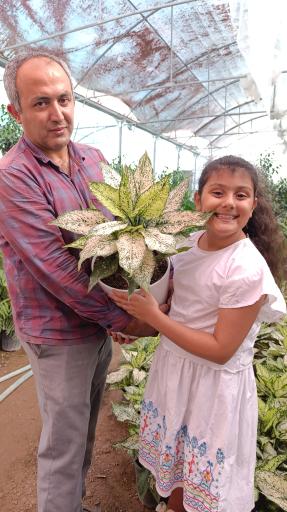 عکس گلخانه باغبان 