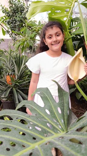 عکس گلخانه باغبان 