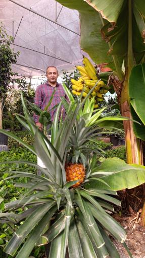 عکس گلخانه باغبان 