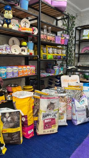 عکس پت شاپ حامیان پت مجیدیه