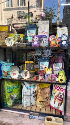 عکس پت شاپ حامیان پت مجیدیه