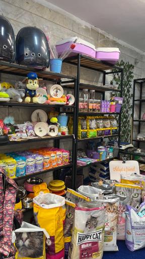 عکس پت شاپ حامیان پت مجیدیه