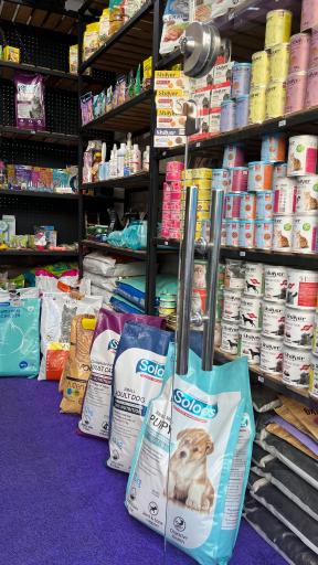 عکس پت شاپ حامیان پت مجیدیه