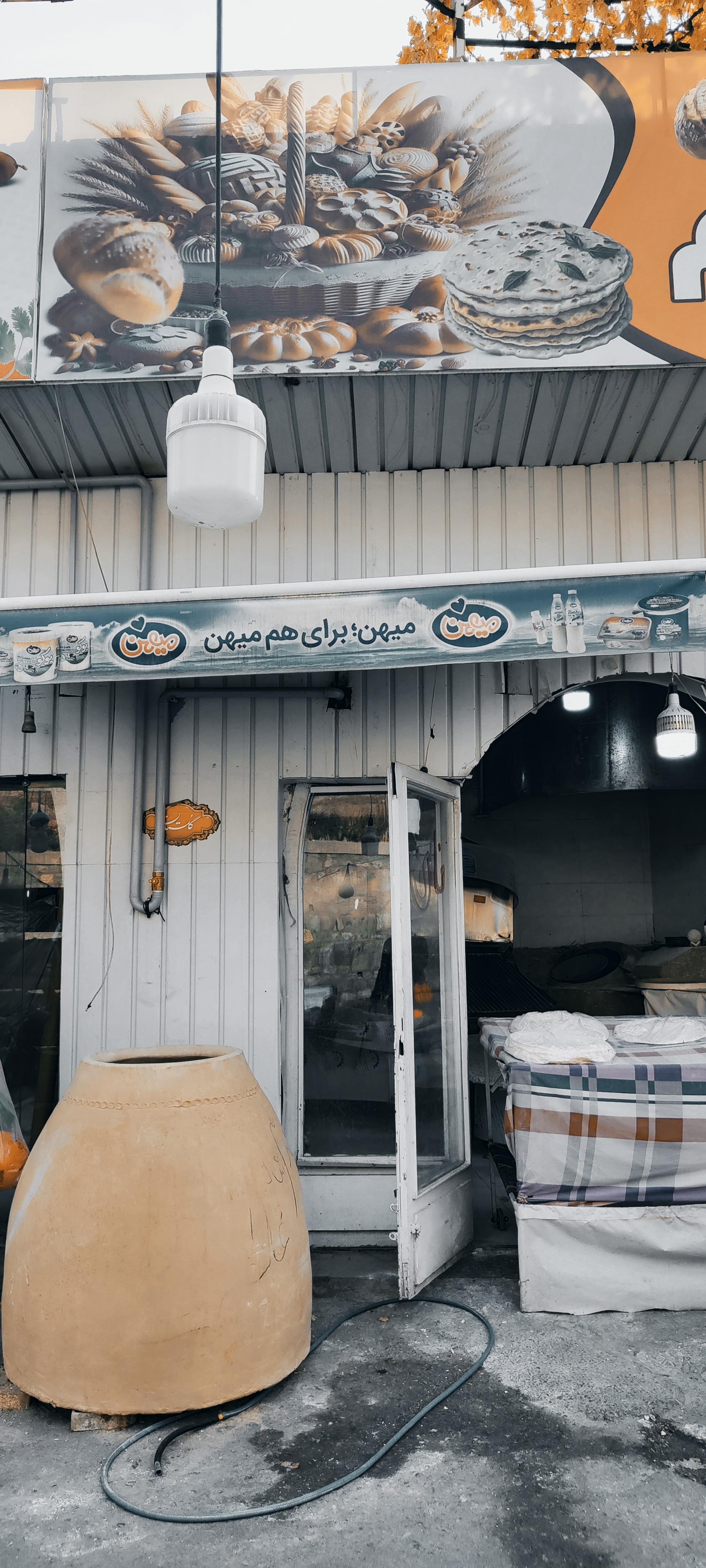 عکس گل گندم