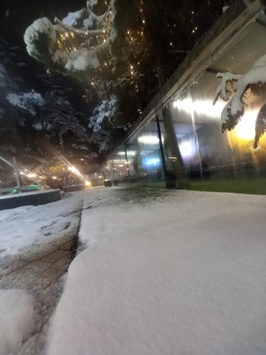 عکس کافه اِسلوپ