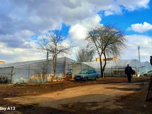 گلخانه شهرداری منطقه ۷ تبریز