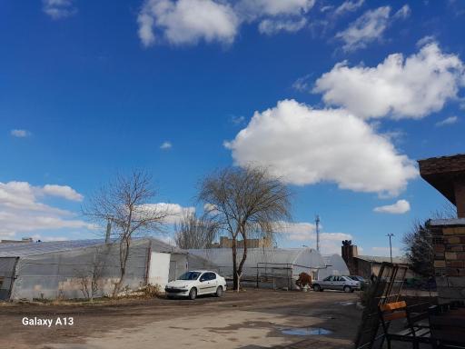 گلخانه شهرداری منطقه ۷ تبریز