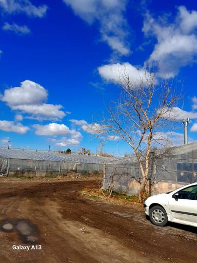 گلخانه شهرداری منطقه ۷ تبریز