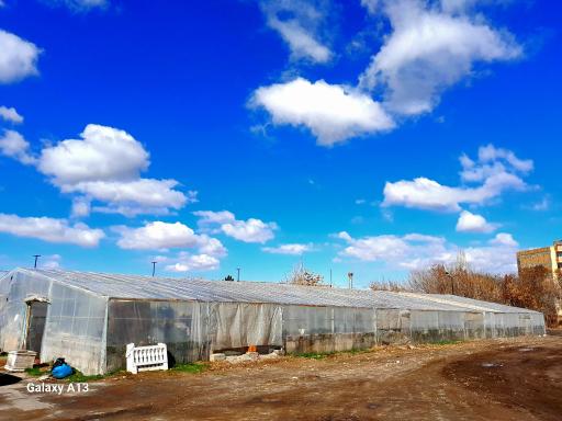 گلخانه شهرداری منطقه ۷ تبریز