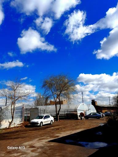 گلخانه شهرداری منطقه ۷ تبریز