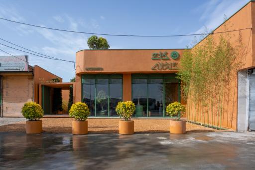 عکس گلخانه کاج