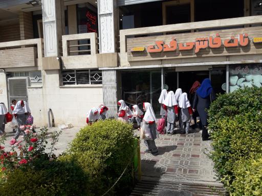 عکس نان فانتزی فدک