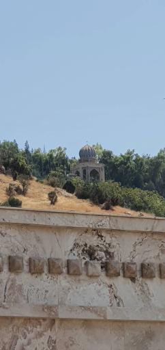 عکس هتل چهار ستاره پروانه