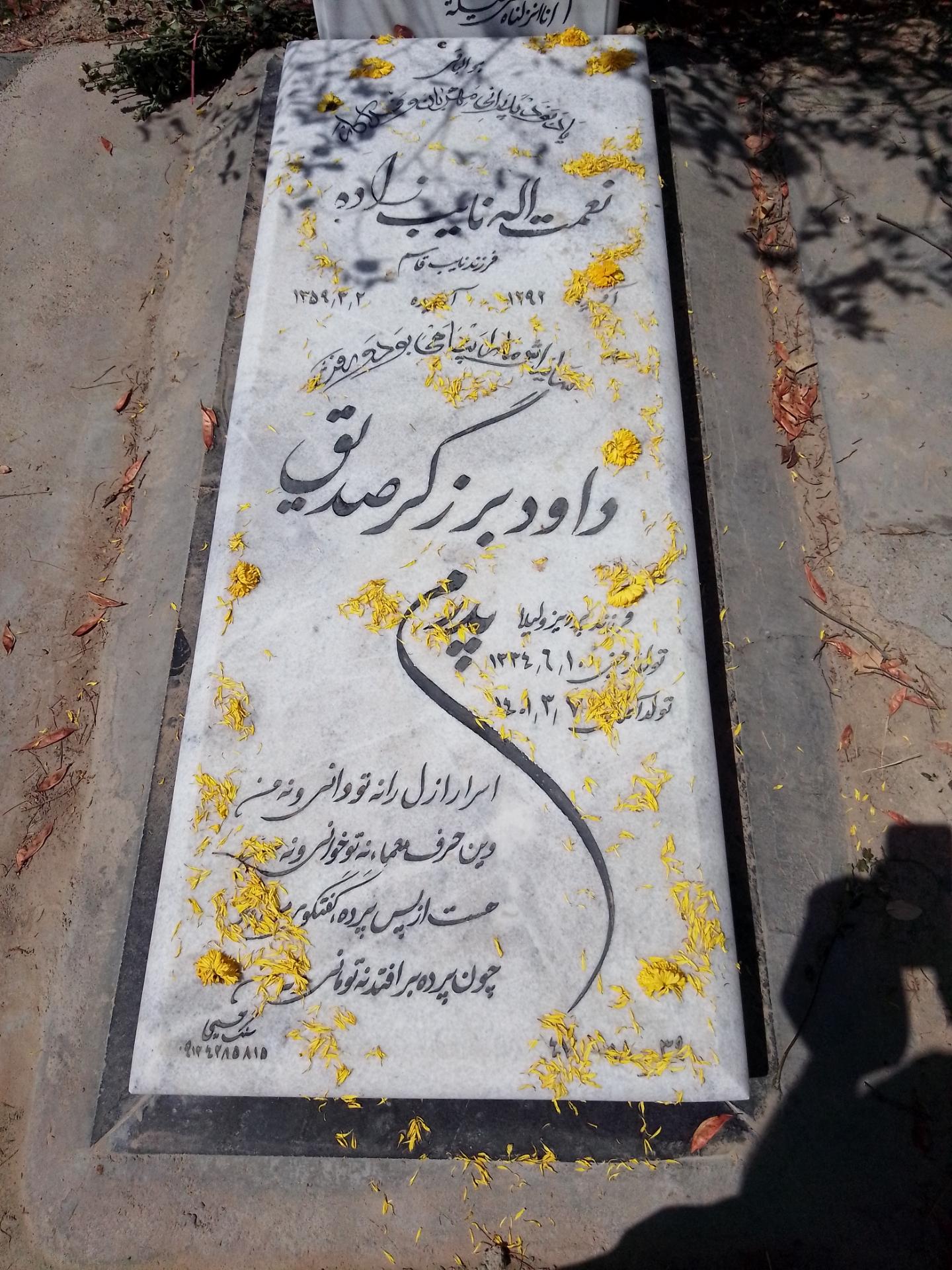 عکس مزار نعمت الله نایب زاده