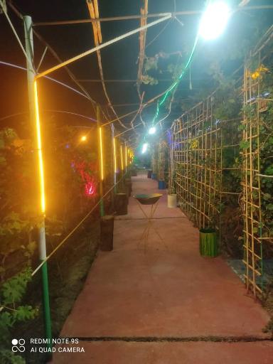 مجموعه تفریحی گل گز