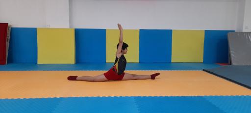 عکس باشگاه ژیمناستیک دکتر قاسم پور