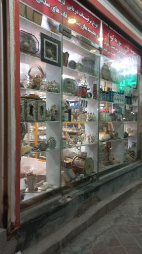 عکس تزئینات دریایی بوشهر صدف