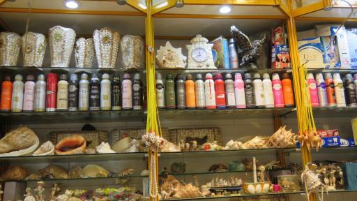 عکس تزئینات دریایی بوشهر صدف