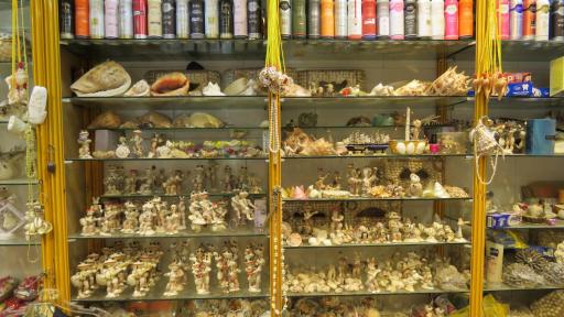 عکس تزئینات دریایی بوشهر صدف