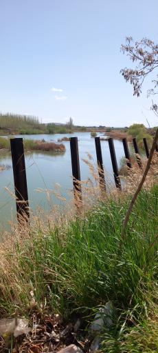 عکس ساحل زرینه رود  پل ستارخان