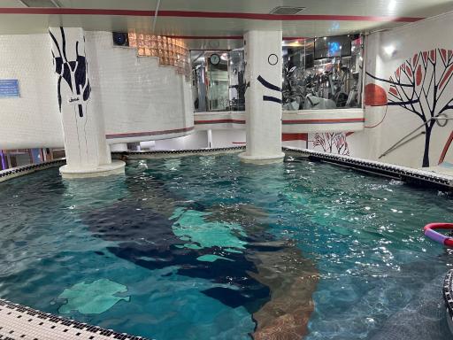 عکس استخر مجموعه ورزشی بهارستان تهران