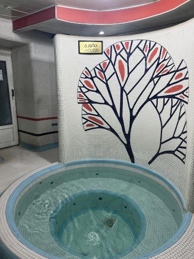 عکس استخر مجموعه ورزشی بهارستان تهران