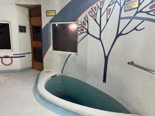 عکس استخر مجموعه ورزشی بهارستان تهران