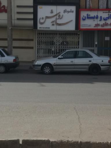 عکس سلمونی سایه روشن