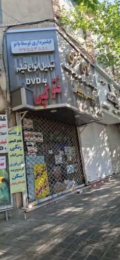 عکس عکاسی نسترن