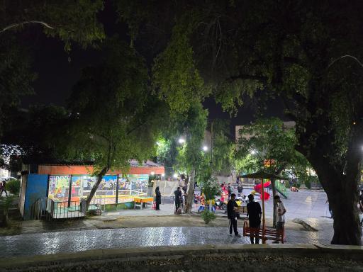 عکس پارک زیتون