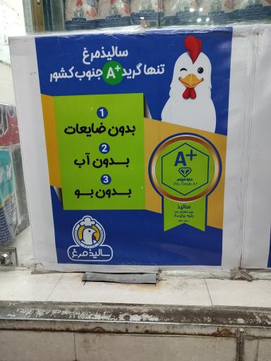 عکس نمایندگی مرغ سالیذ