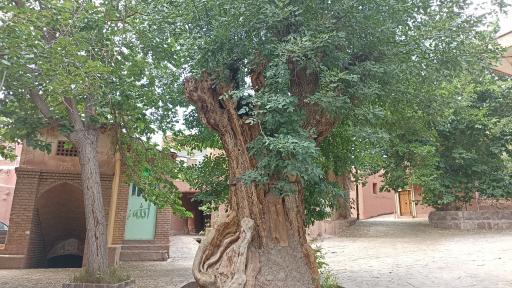 عکس آب انبار پالیزه