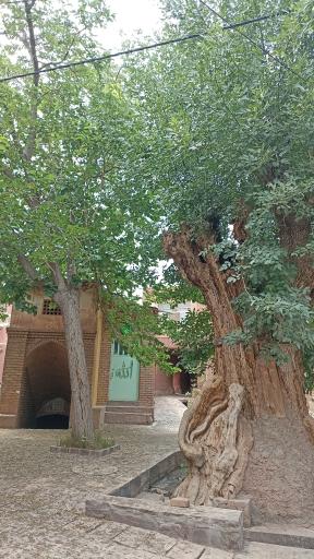 عکس آب انبار پالیزه