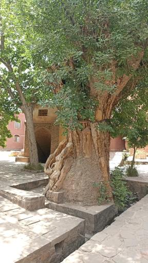 عکس آب انبار پالیزه