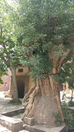 عکس آب انبار پالیزه