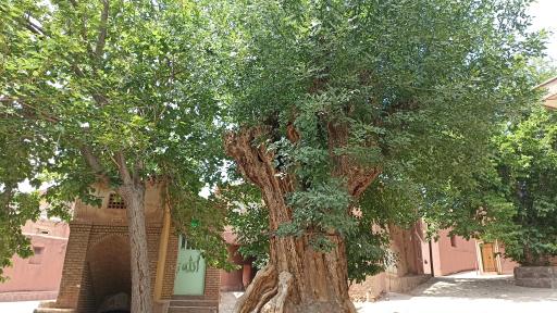 عکس آب انبار پالیزه