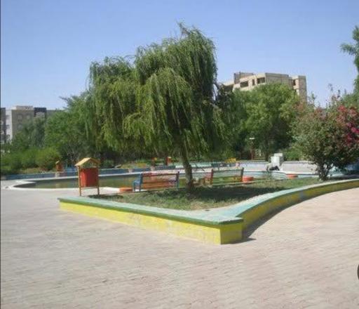 عکس پارک زیتون