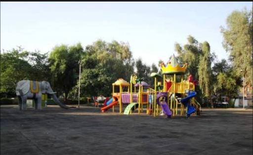 عکس پارک زیتون