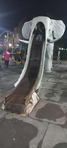 عکس پارک زیتون