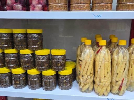 عکس پخش امیرزاده 